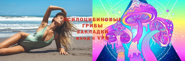 индика Белоозёрский