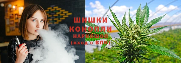 индика Белоозёрский