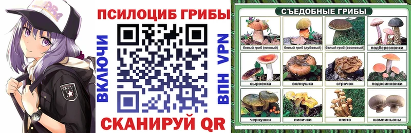 это Telegram  Красавино  Галлюциногенные грибы ЛСД 